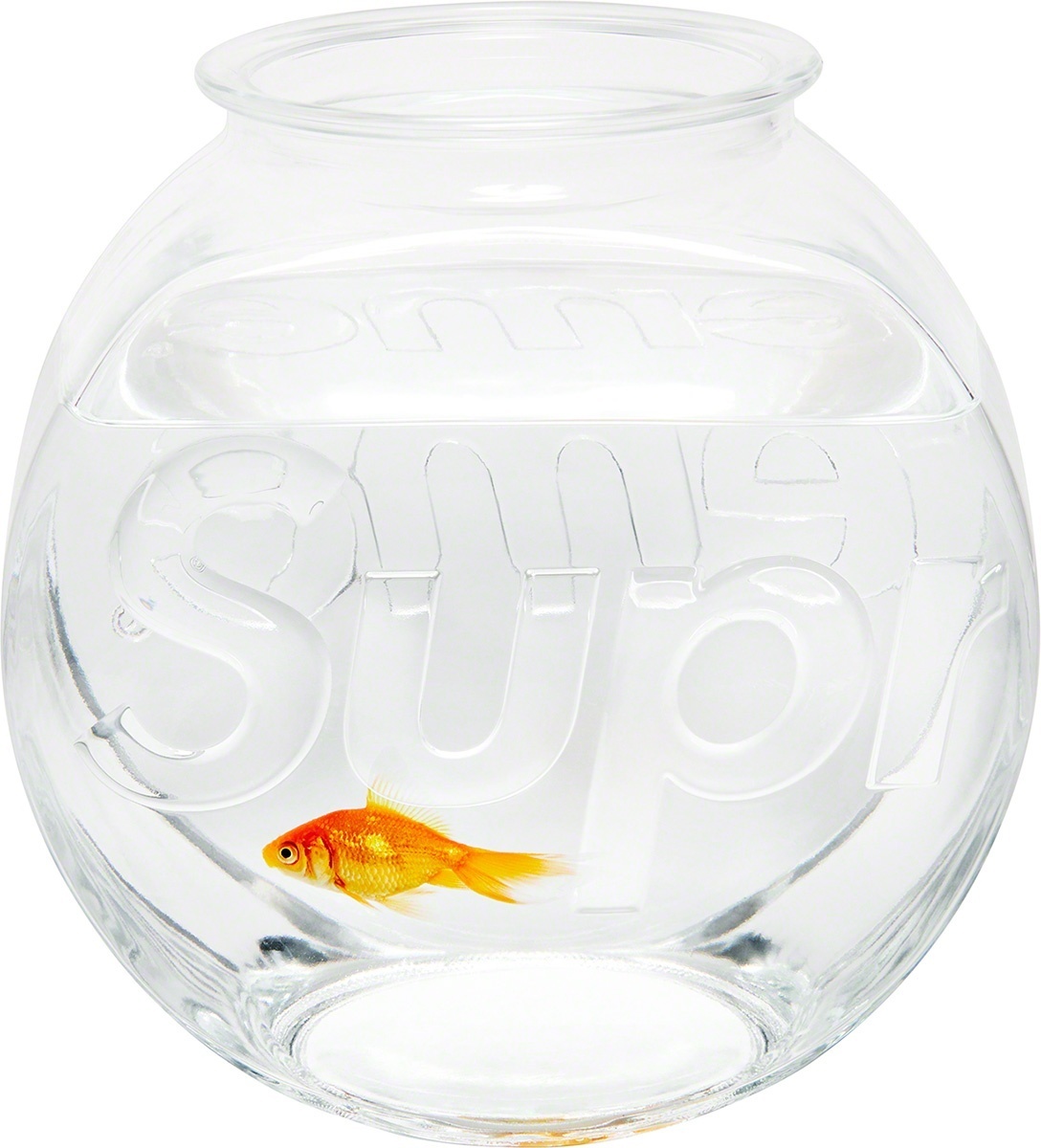 Fish Bowl